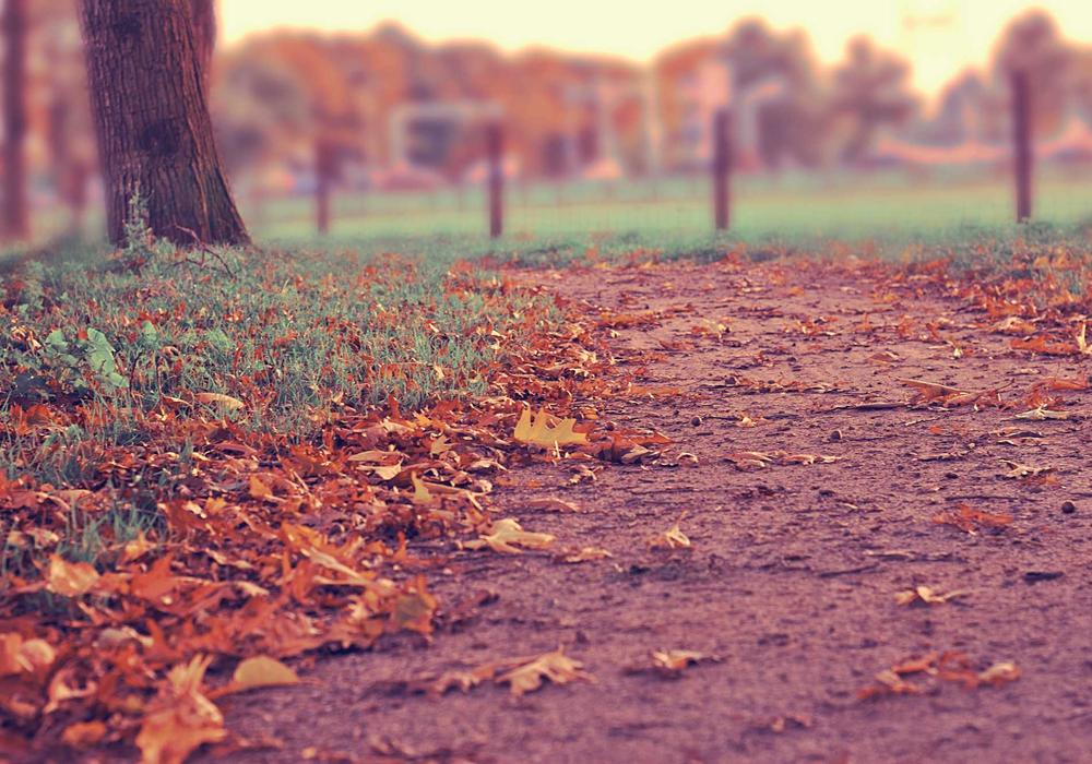 SEO & Content Growth — B2B SaaS